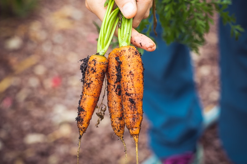Carrots with soil on them