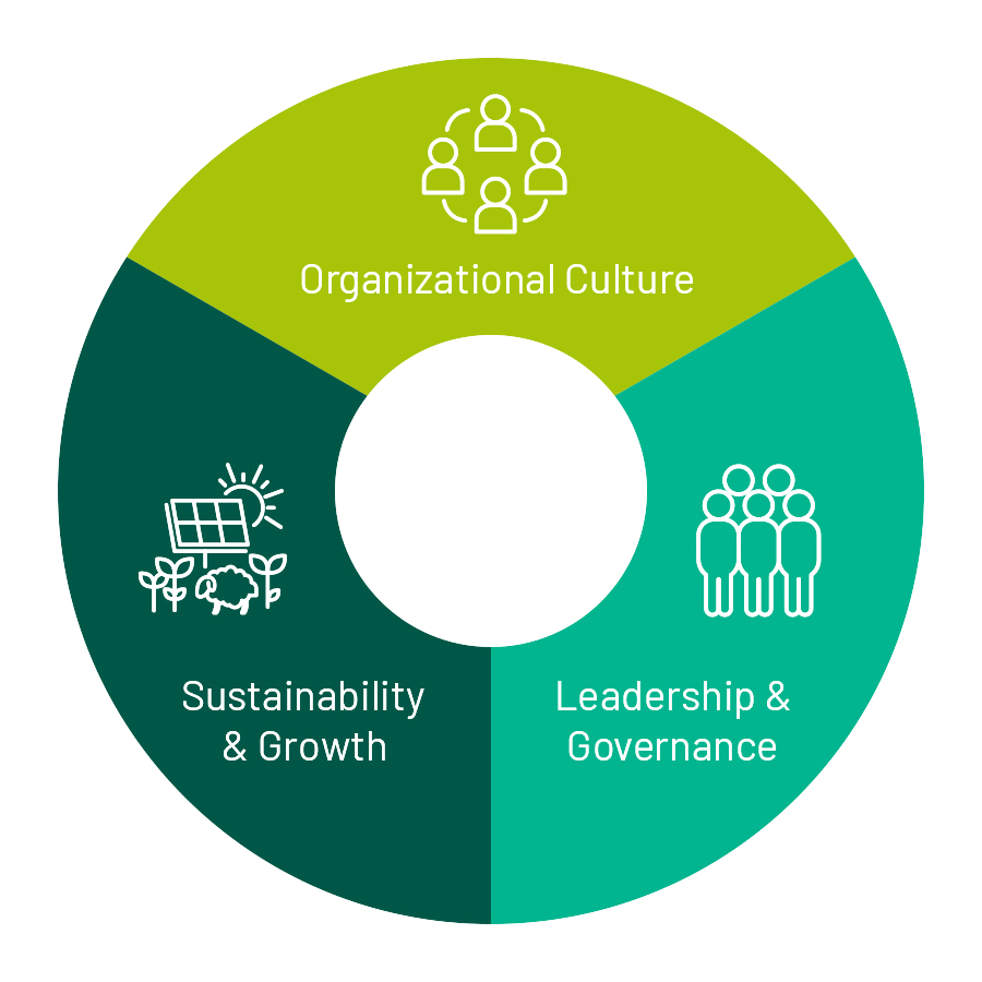 Circle graph with three equal pieces organizational culture, leadership and governance, and sustainability and growth.